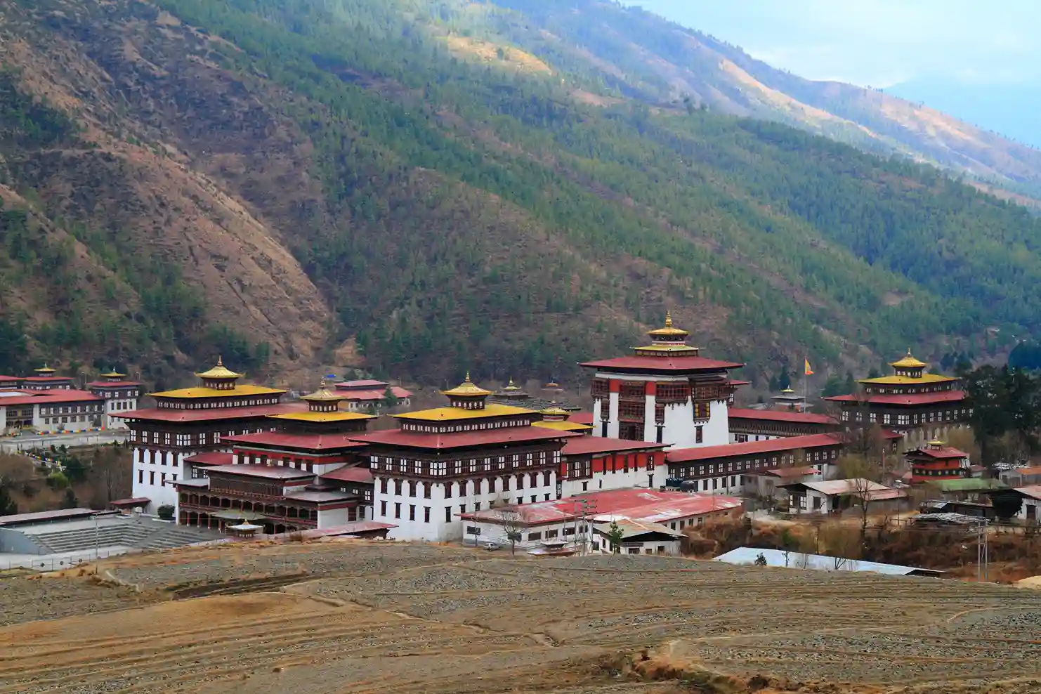 Main Image